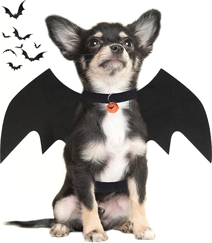 Disfraz de Halloween para perro pequeño, alas de murciélago de perro con campana de calabaza para mascotas, disfraz de fiesta de cosplay de