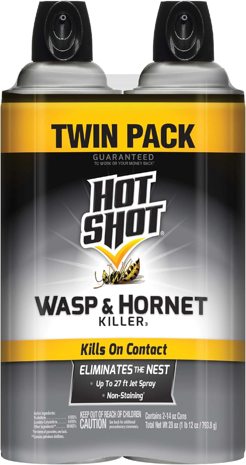Hot Shot Wasp and Hornet Killer Aerosol, Up to 27-Foot Jet Spray, 14 Ounces, 2 P