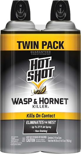Hot Shot Wasp And Hornet Killer 14 Ounces, Aerosol, Up to 27-Foot Jet Spray, Pack of 2