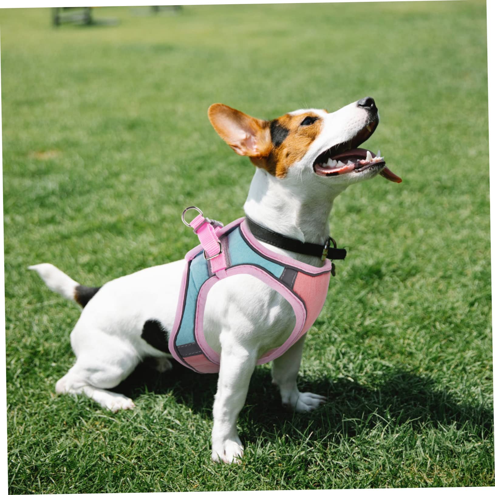 Supvox 4sätze Reflective Puppy Vest Mit Teiliges Für Katzen Und Hunde Verstellbares Und Atmungsaktives Geschirr Für Sicheres Outdoor-Walking Für Kleine Haustiere
