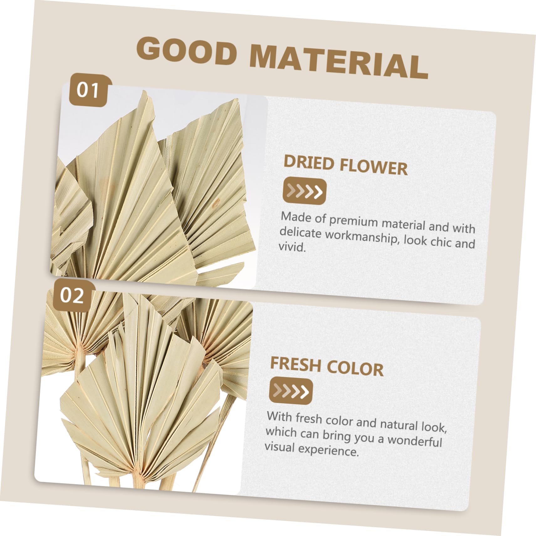 ABOOFAN 5pcs Palm Dried Flower Palm Leaves Decor Palms for Palm Sunday Palm Leaf Branch Dried Palm Spear Palm Leaves for Palm Sunday Faux Plant Leaves Natural Dried Flowers Tropical Plants