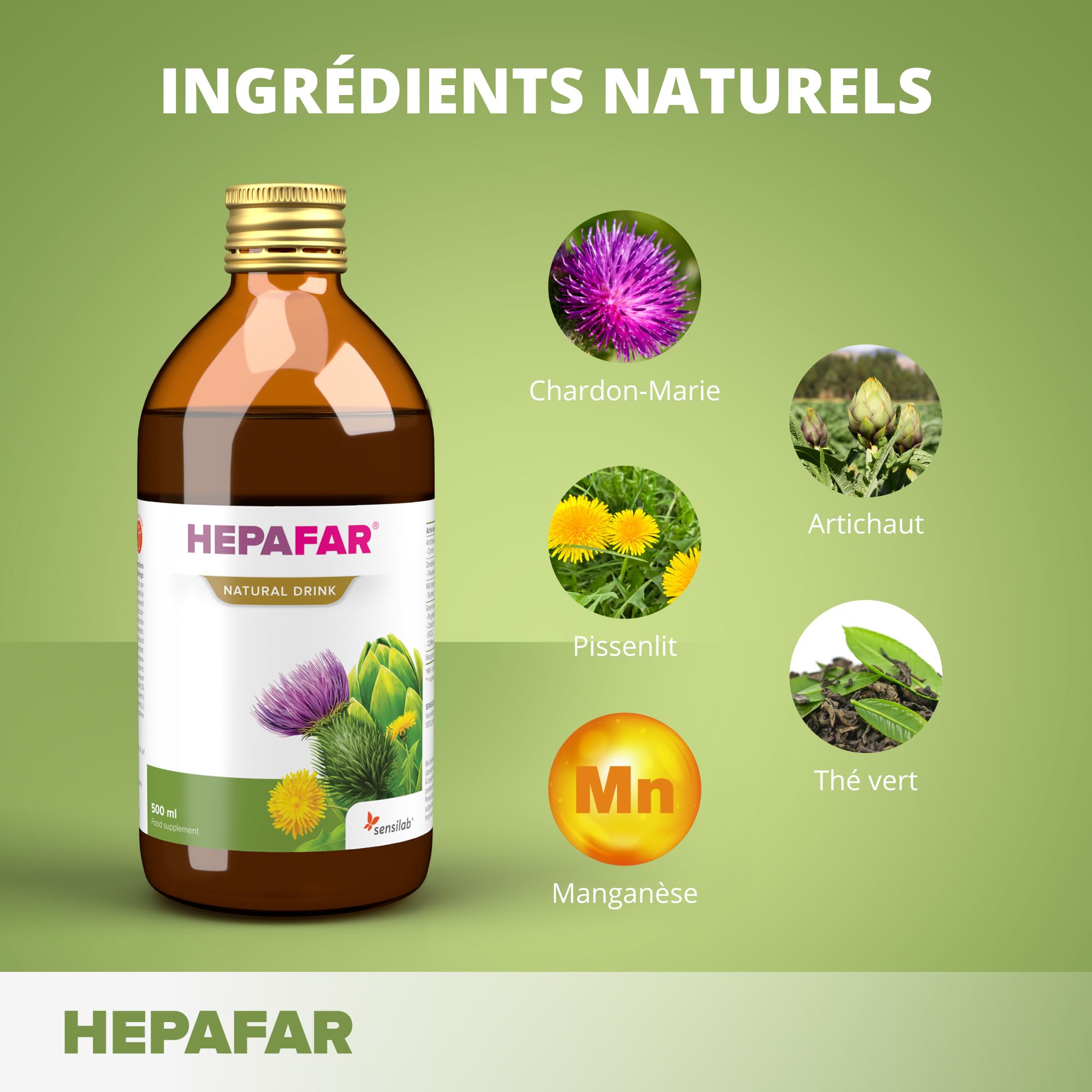 Sensilab Hepafar Natural Liver Drink - Chardon-Marie, 500 ml | Thé Vert, Pissenlit, Artichaut, le Manganèse contribue à protéger les Cellules du Stress Oxydatif, 20 Jours