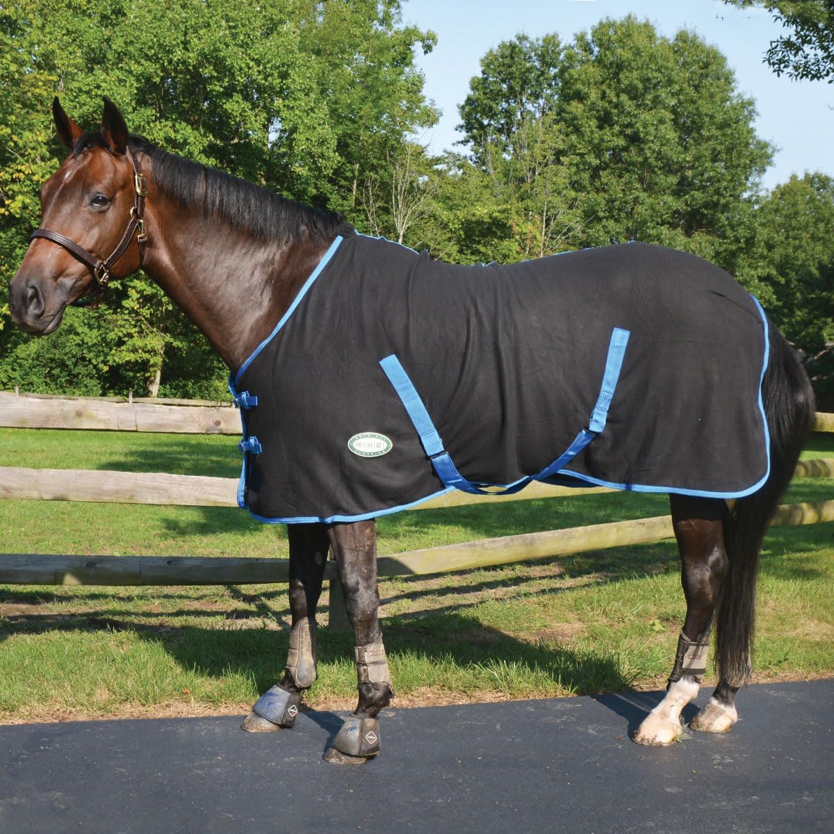 Country Pride Fitted Polar Fleece Sheet for Horses, Standalone Horse Cooler or Underblanket, Double Buckle Front, Bias Surcingles, Removable Leg Straps, Fun Trim Colors, Small to XL (X-Large, Blue)