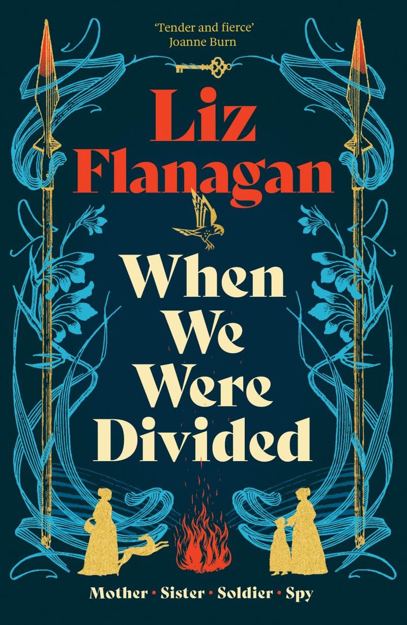 When We Were Divided by Liz Flanagan (Paperback Book)