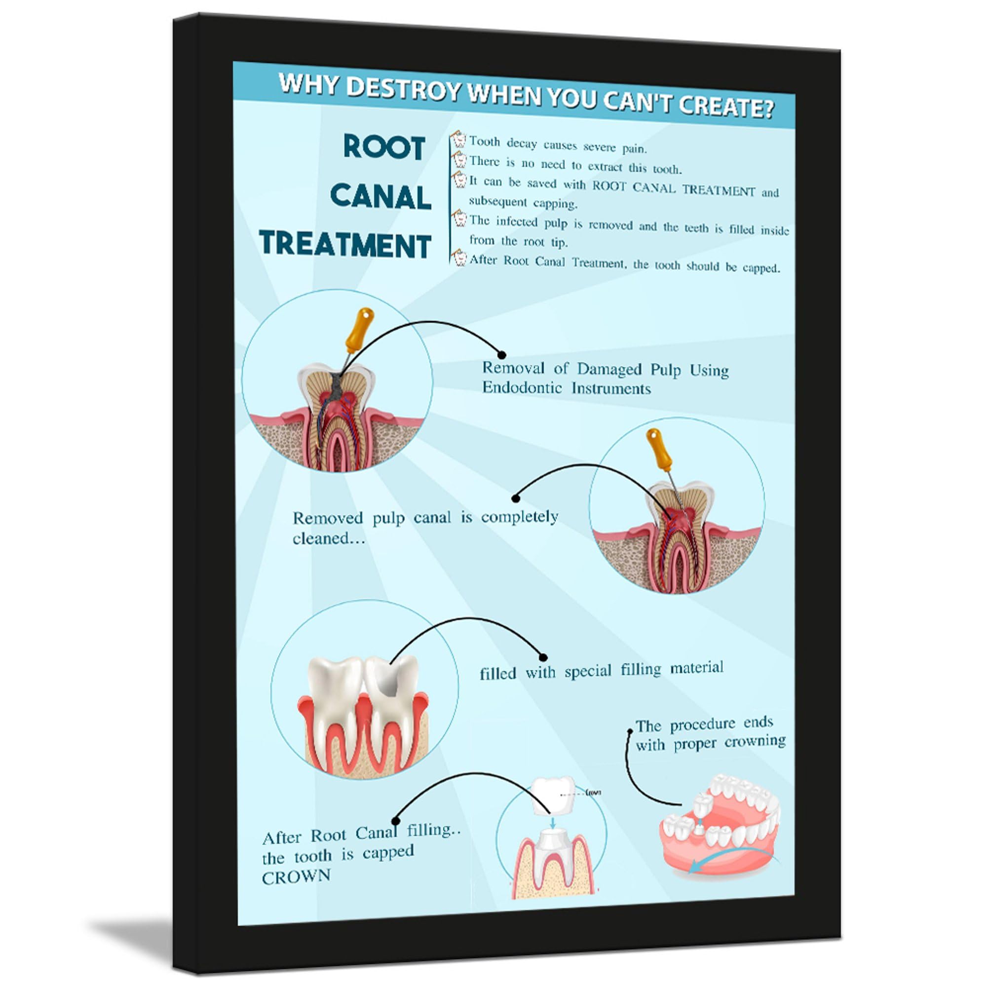 Allen Turtle Dental Office Wall Decor Frame for Clinic Care - Hospital Teeth 12x18 Inches Framed Poster FRAM98