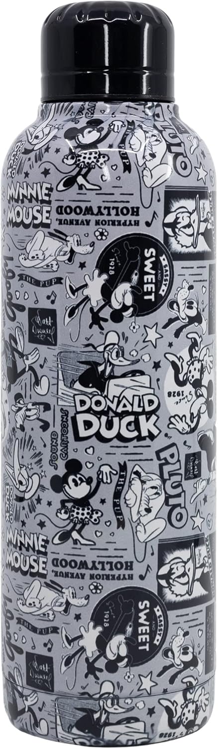 Disney 100th Anniversary 520ml Double Insulated Stainless Steel Reusable Water Bottle