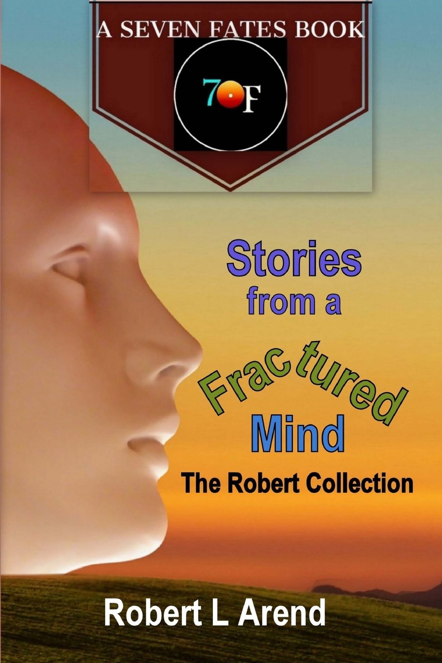 Stories from a Fractured Mind