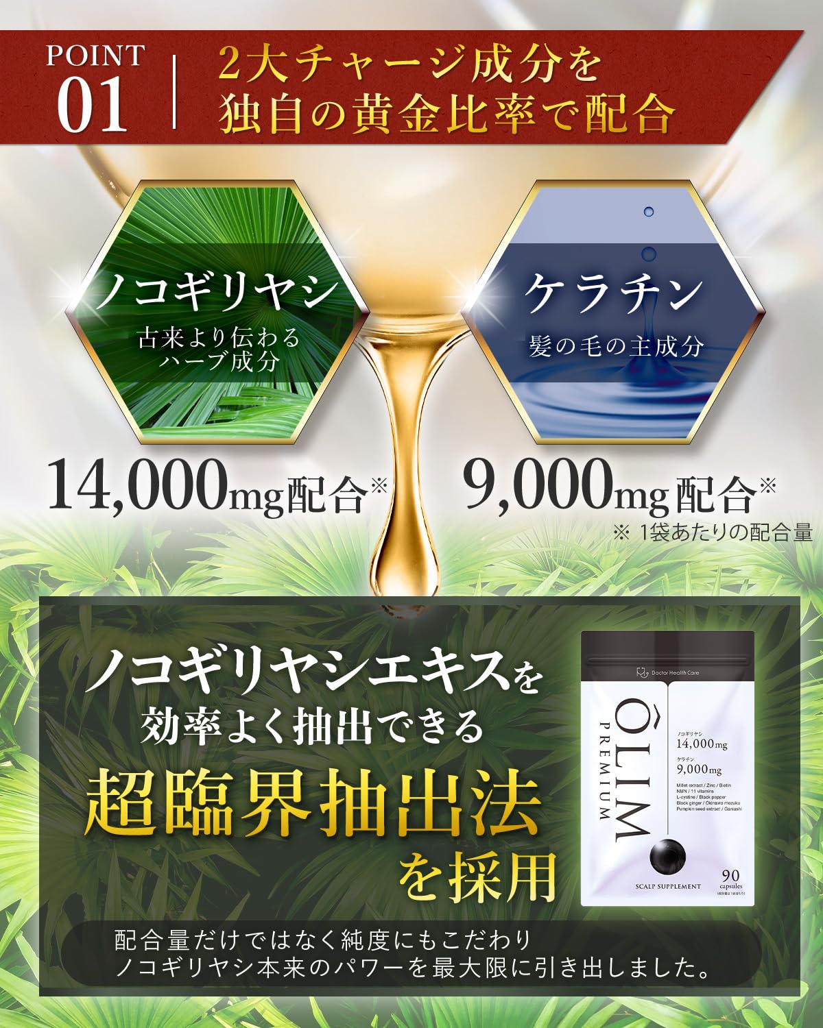 育毛サロン開発／ ノコギリヤシ サプリメント バイオテック PREMIUM 