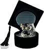 Crystal Glass Owl Graduation Gift Ornament Keepsake in Message Box Graduation Present Novelty Gift