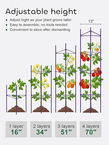 Miniatura 3 de GROWNEER Paquete de 6 jaulas de tomate para jardín, soporte de estacas de tomate enrejado de 51 pulgadas, jaula para plantas con 18 clips y lazo