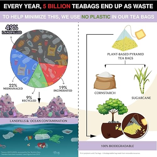 Vista 197 de BREWIX Bolsas de té de albahaca sagrada (15 bolsas de té piramidales) Camiseta con hojas de tulsi y manzanilla Sin cafeína, té de hierbas