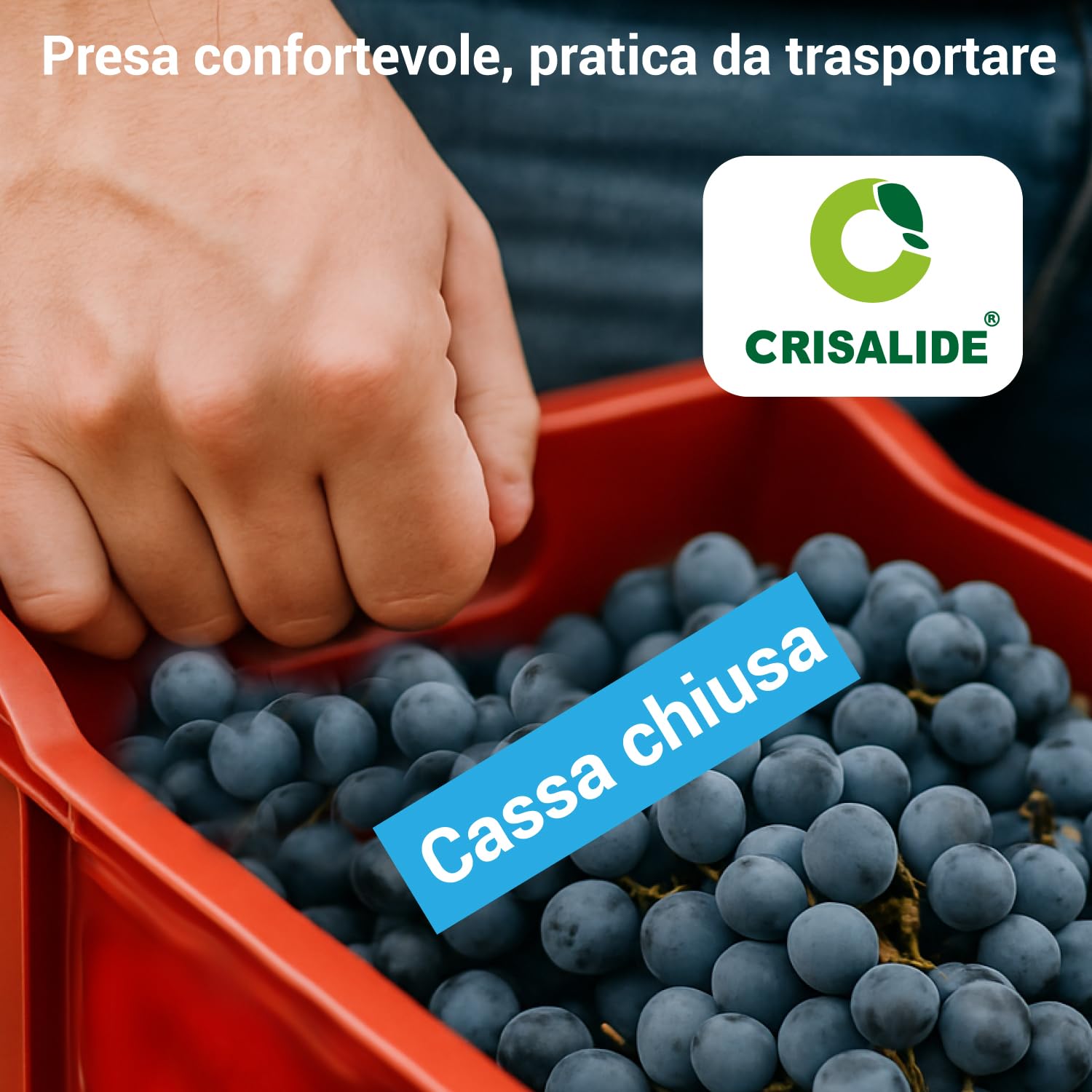 Crisalide Cassette Agricole Impilabili 40 L Plastica Alimentare 56x35x31 cm