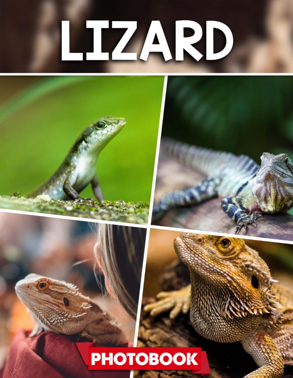 Lizard Photo Book: Picture Collection For Adults With Dementia And Alzheimer’s Patients – Detailed Reptile Images In Natural Habitat Scenes