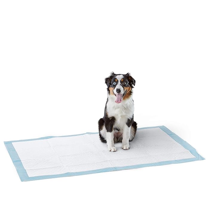 Buy Amazon Basics Dog and Puppy Pads, Leakproof 5Layer Pee Pads with
