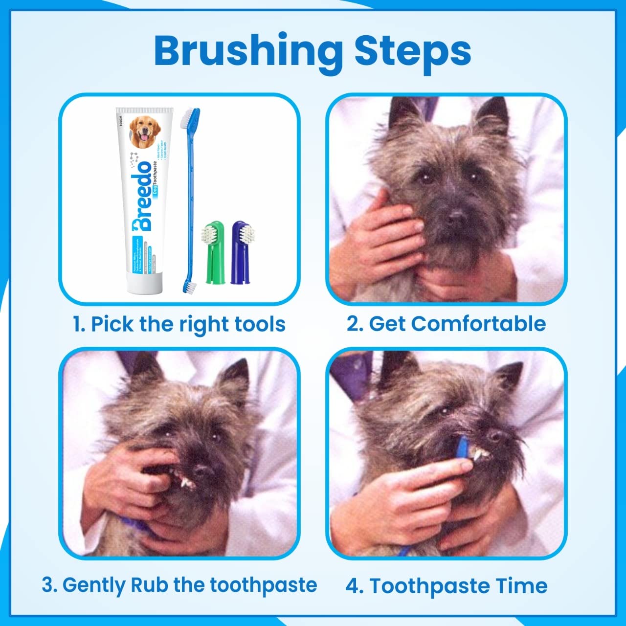 Breedo Cool Mint Toothpaste(Pack of 2) and 3Pcs Toothbrush Combo for Dogs - 200g | Soothing Mix of Mint and Cinnamon Oil Suitable for dogs and Puppies| Dog Toothpaste| Dog Mouth Freshner 1