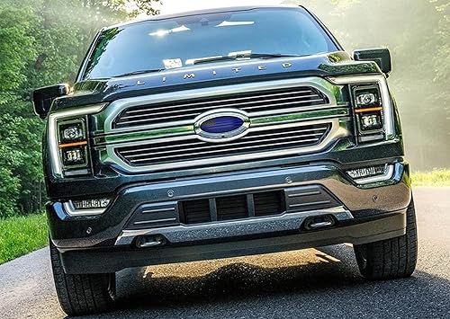 Miniatura 3 de Emblema de 12 pulgadas para rejilla delantera y portón trasero, superposición de aluminio, emblema de bandera americana compatible con Ford F250