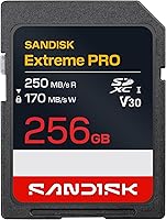 Vista 7 de SanDisk Tarjeta de memoria Extreme PRO SDXC UHS-I de 256 GB - C10, U3, V30, 4K UHD, tarjeta SD - SDSDXXD-256G-GN4IN, gris oscuro/negro