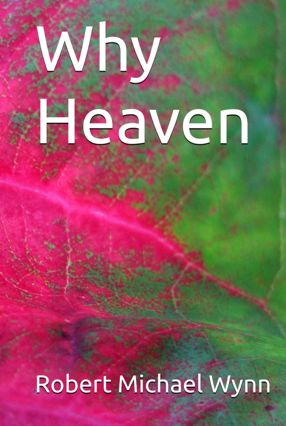 Why Heaven