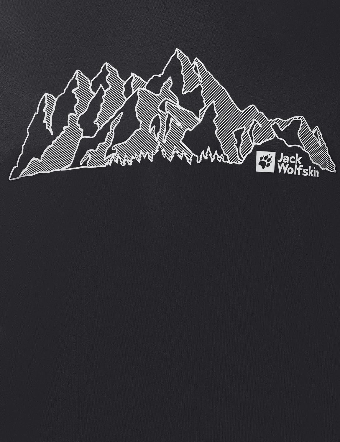 Jack Wolfskin Peak Graphic T M T-shirt męski (1 opakowanie)