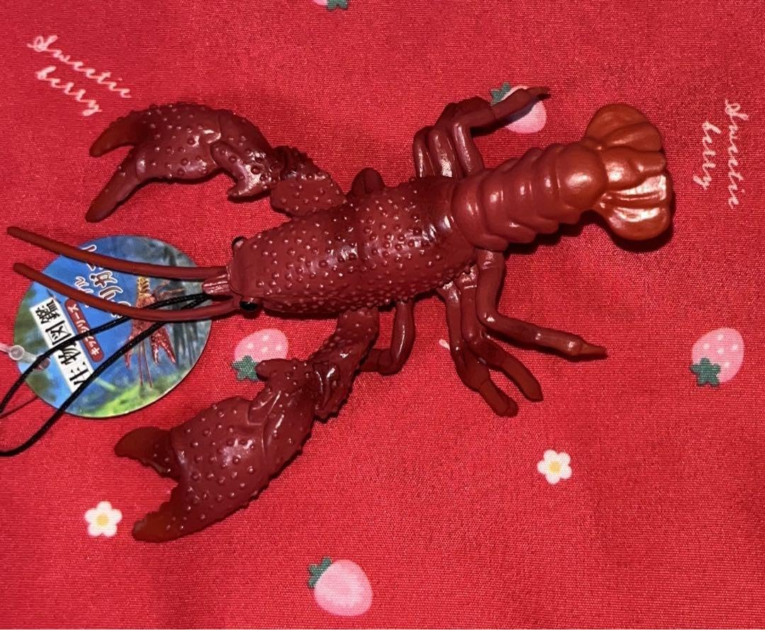 Amazon.co.jp: 生物図鑑 リアルザリガニ7 レッド : おもちゃ