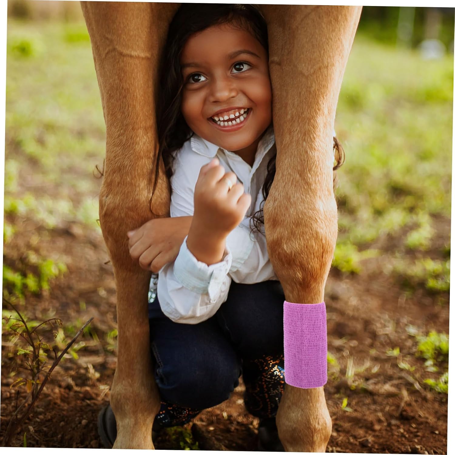VANZACK 5rolls Portable Horse Leg Bandages Self-Adhesive High Elasticity Non-Woven Wraps for Horse Care Easy Manual Operation