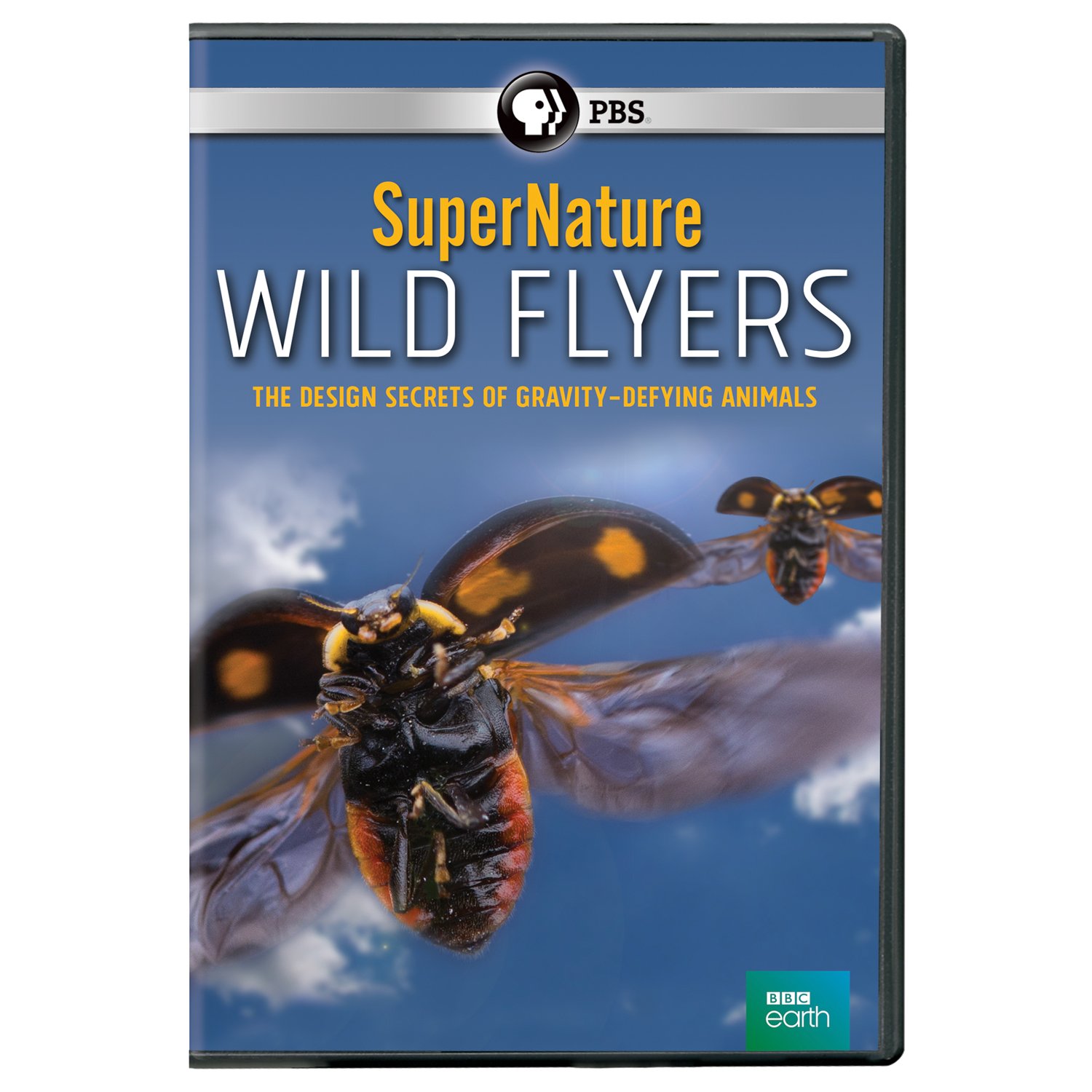 Supernature: Wild Flyers DVD documental de naturaleza salvaje sobre aves y vuelo en EE. UU.