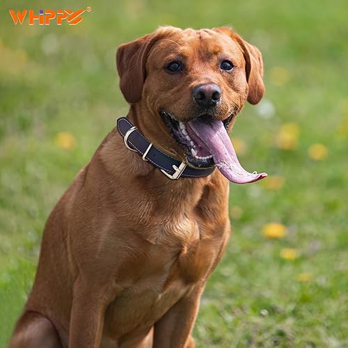 Miniatura 9 de WHIPPY Collar de cuero para perro pequeño, mediano y grande, ajustable, suave, transpirable, acolchado, de cuero con hebilla de aleación, resistente