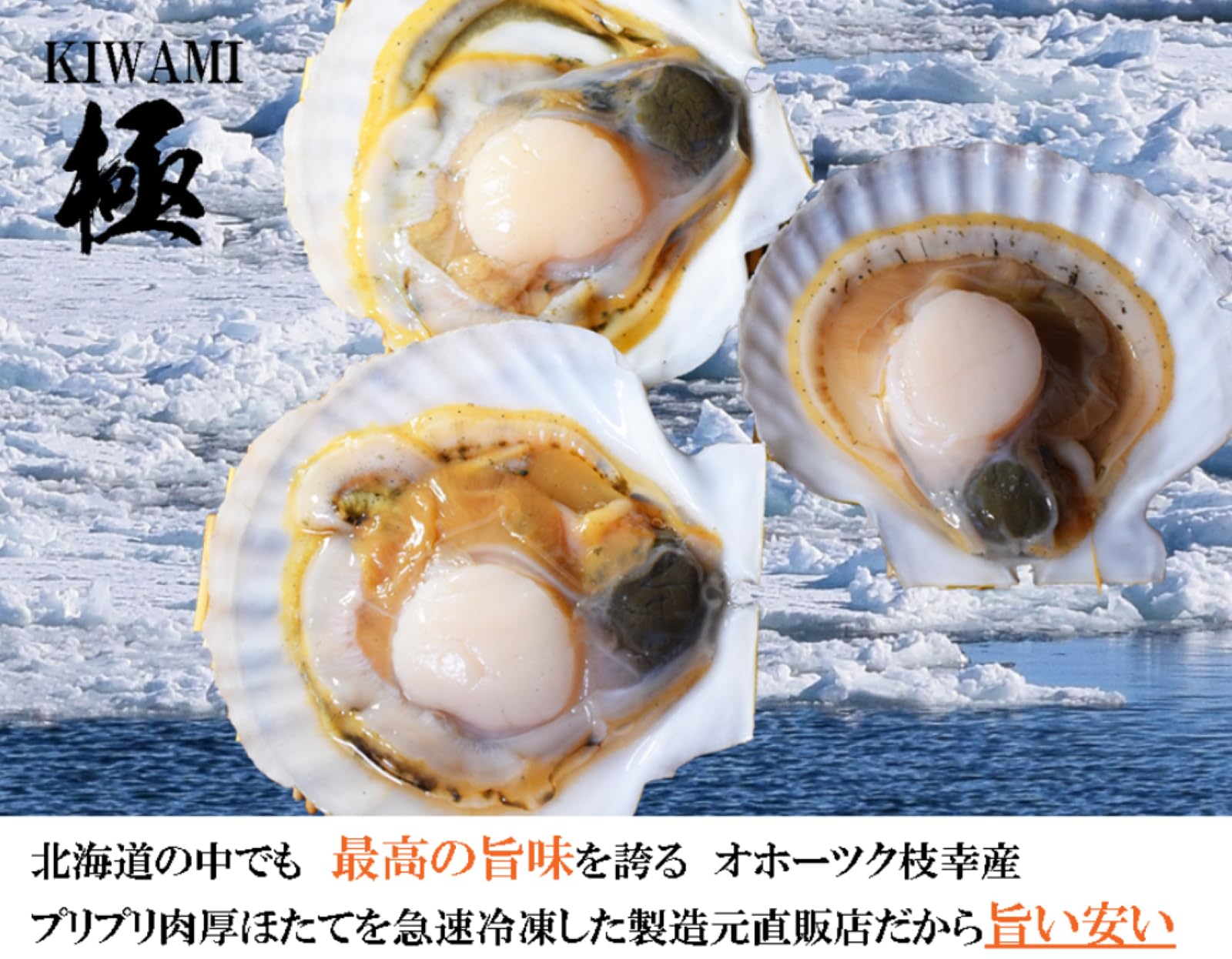 Amazon.co.jp: 海洋食品 ホタテ 冷凍 ほたて貝柱 500g 【小玉(60～75粒