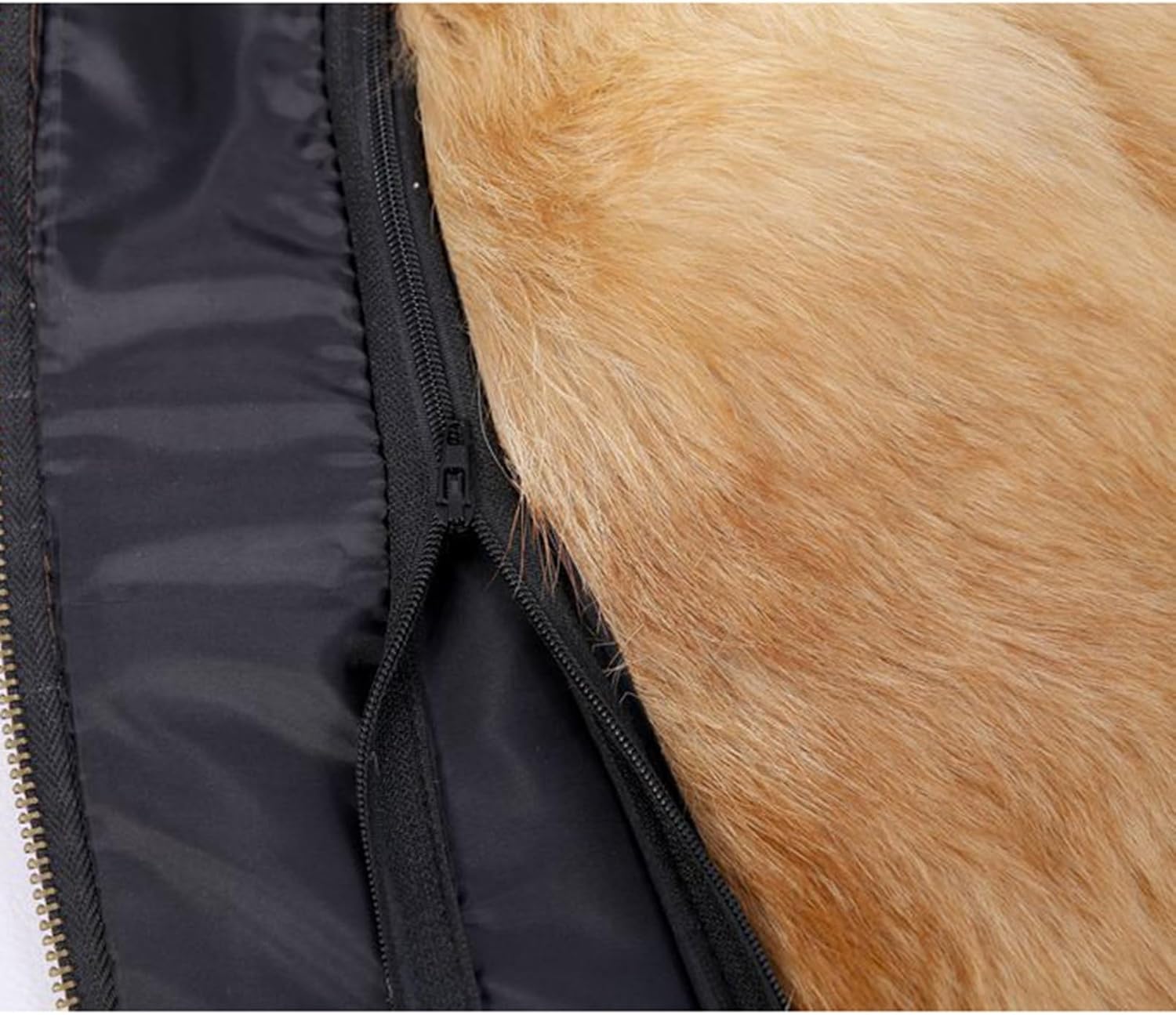 スキーウェア オンヨネ 20/21モデル サロモンワッペン付き スキー