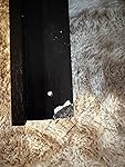 Review Image by Purchased customer Purchased customer