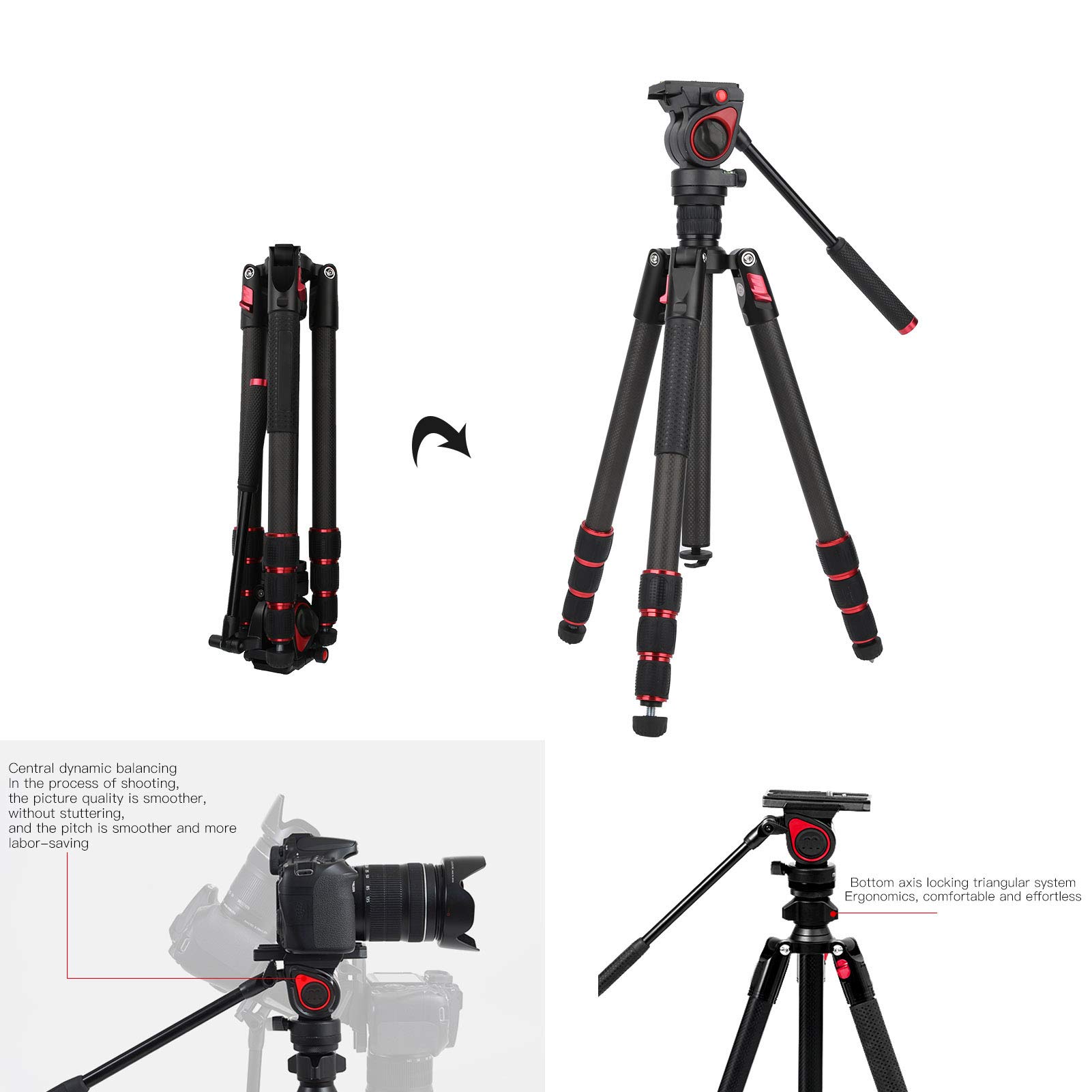 Generic Portatile Treppiede Fotografico con Testa a Sfera idraulica a 360 Gradi Professionale Staffa per Telefono con Borsa per Il Trasporto per Canon