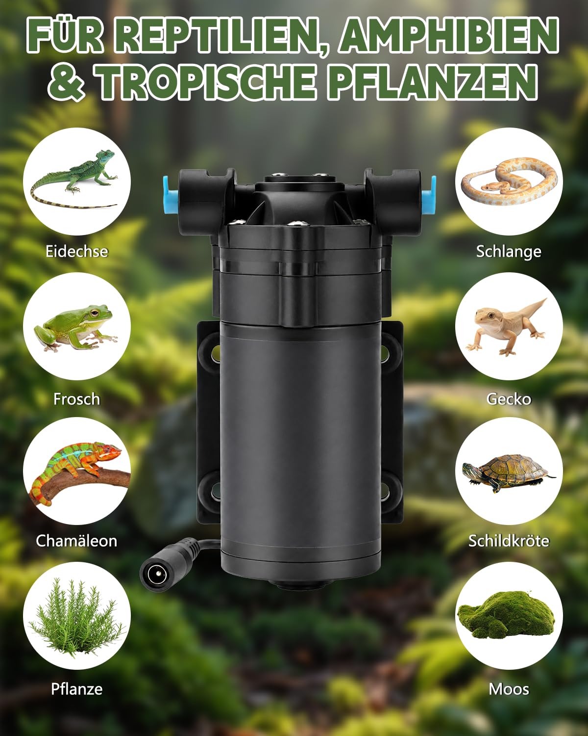 Reptilien Luftbefeuchter mit 6 SprüHdüsen, Beregnungsanlage für Terrarium mit Sprühdüsen 360 ° Verstellbare/Silent-Design, Reptilien ZerstäUber für Terrarien Amphibie Npflanzen Pflanzen Regenwald