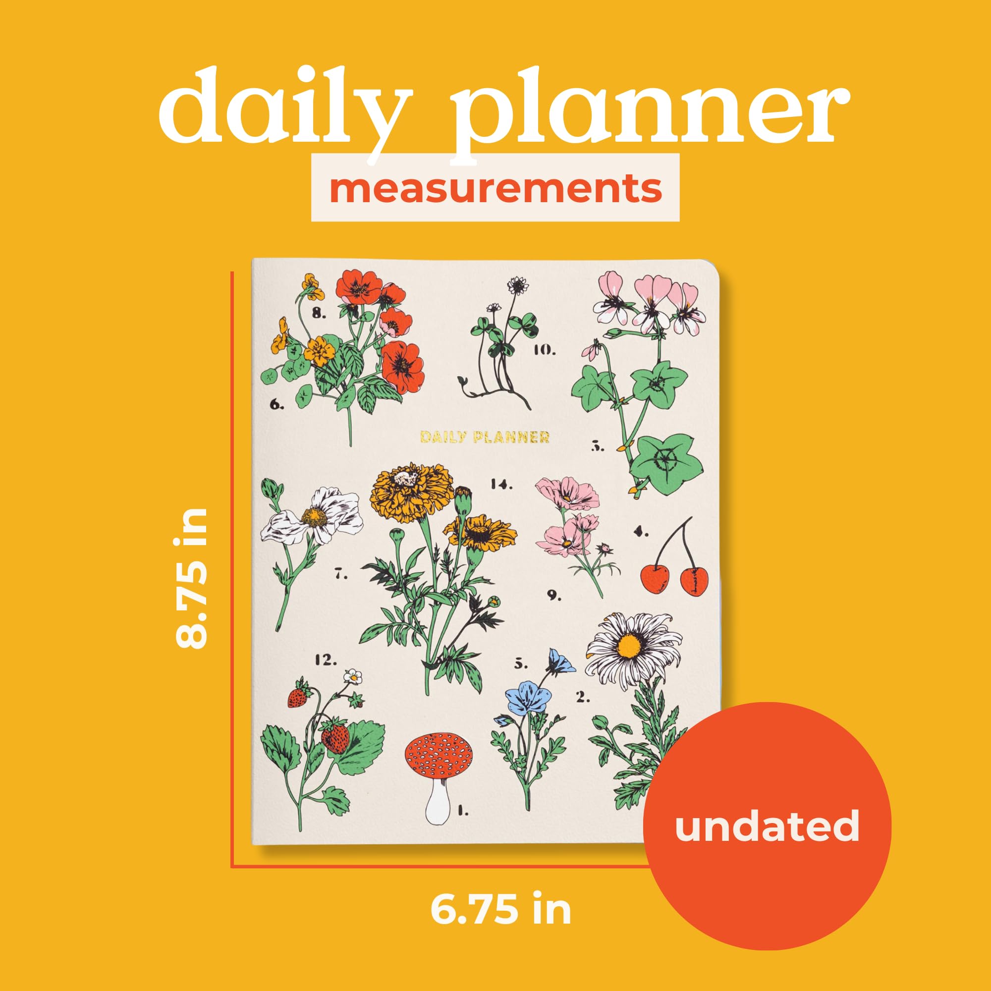 ban.do Undated Daily To Do Planner, Personal Organizer Schedule Planner with Meal Plan and To Do Lists, Botanical Cream - Image 2