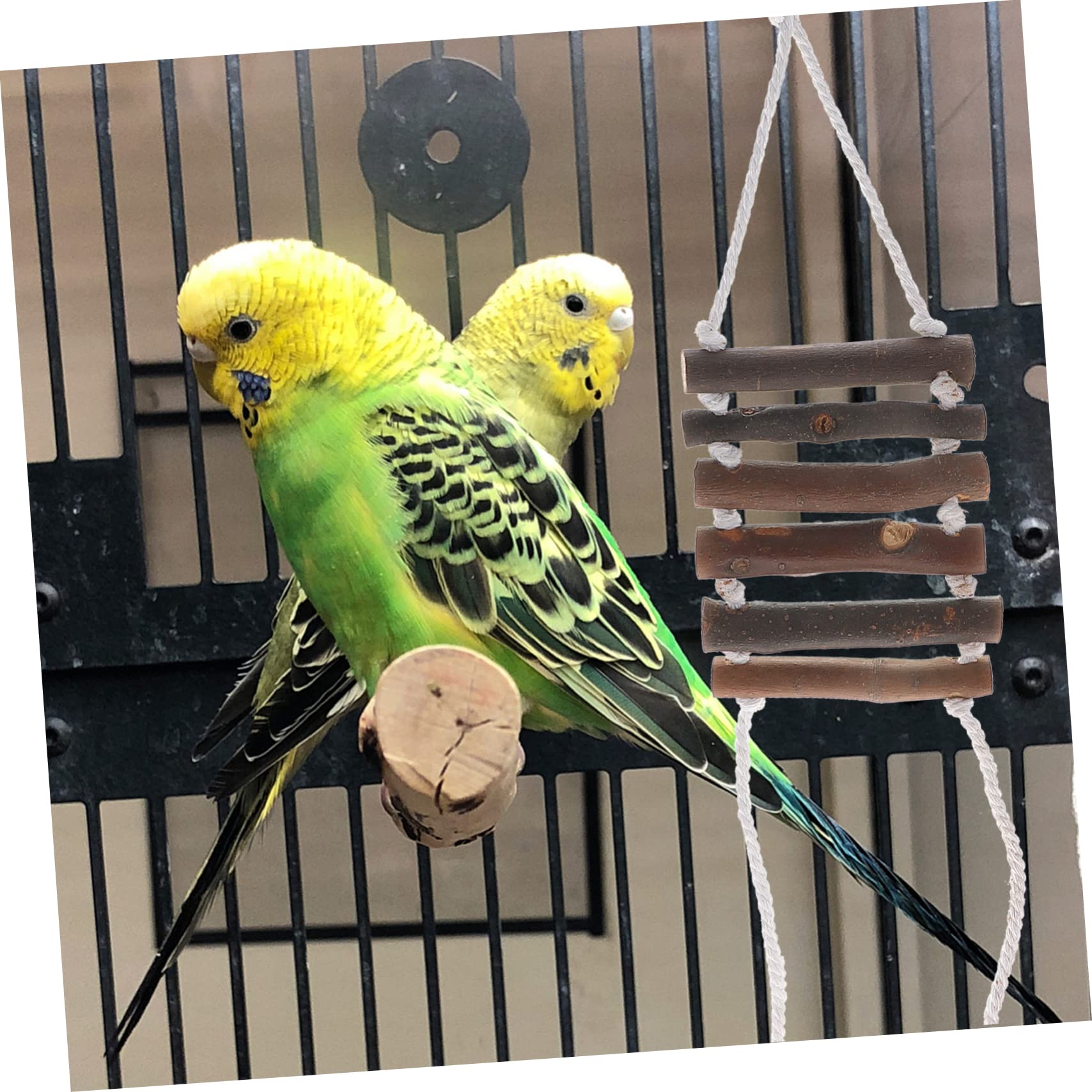 TOYANDONA 9pièces Jouets pour Oiseaux Jouets Élastiques pour Perroquets Cachette Noix De pour Cages à Oiseaux pour Perruches Et Calopsittes