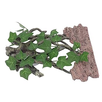 中型スライド扉温室ショーケース(植物用、観葉植物、園芸用品、爬虫類飼育用) 爬虫類・小動物飼育ケース用 スライドロック/2個入り 水槽