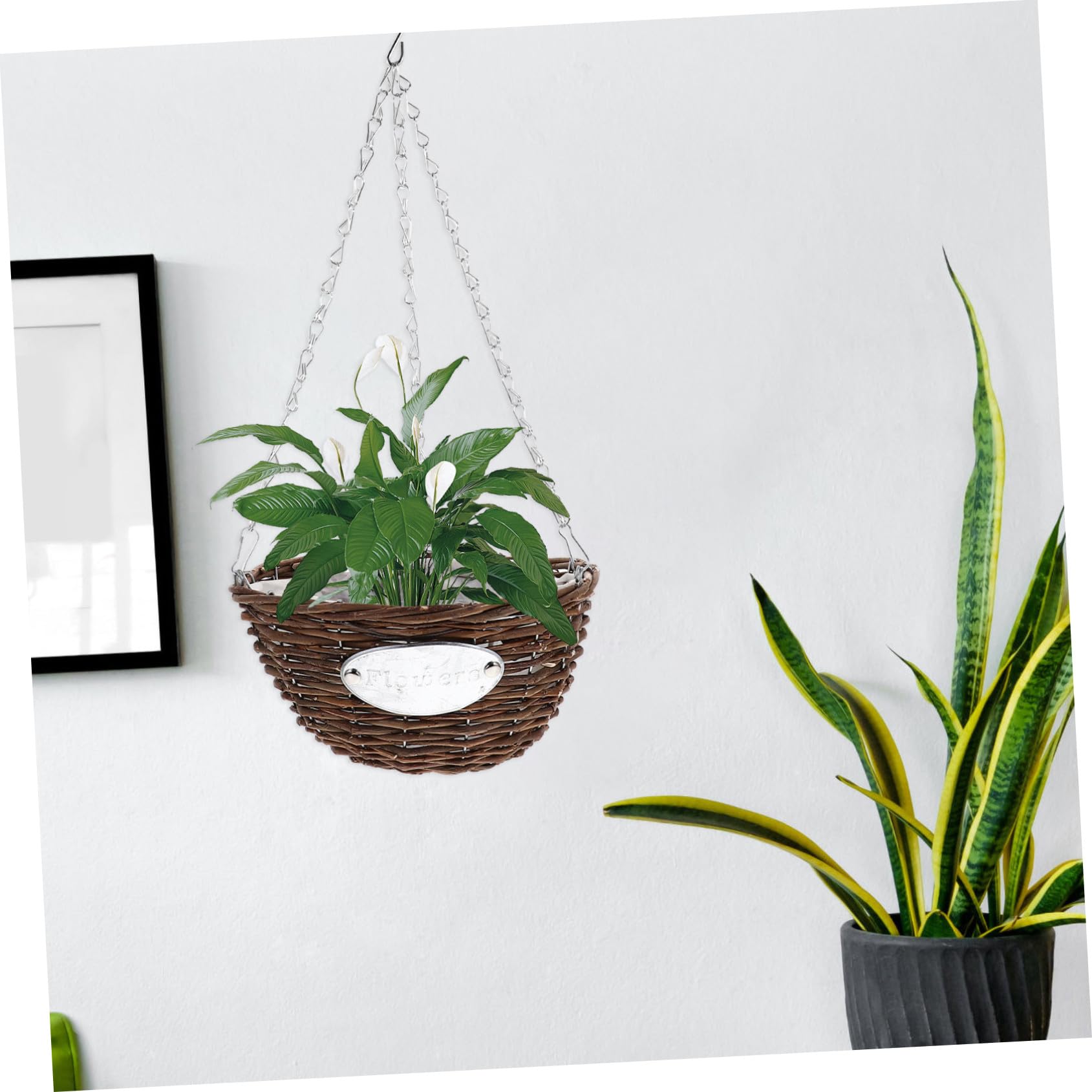 SHERCHPRY Fioriere Sospese in Metallo e Rattan, 2 Vasi da Fiori Cesto Medio 25 CM, Adatti per Esterni e Interni e Balcone