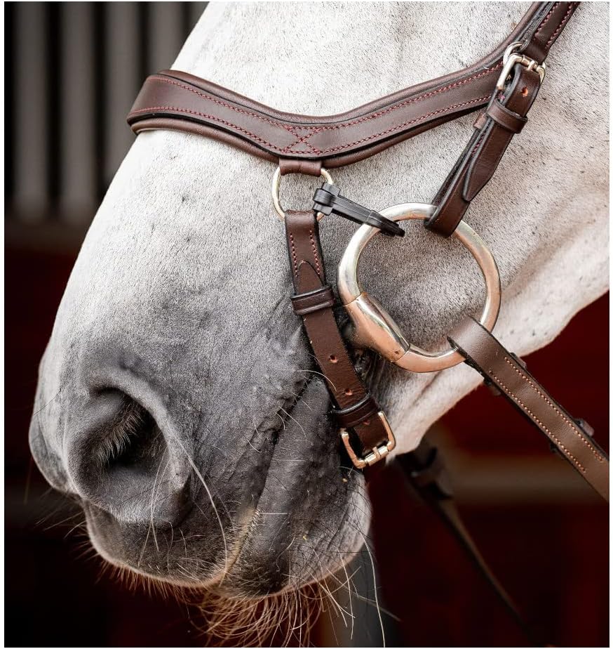 Horseware Ireland Micklem CompBridle w/Reins, Color: Dark Havana, Size: Standard H (SBMOM2-NAB0-SH)