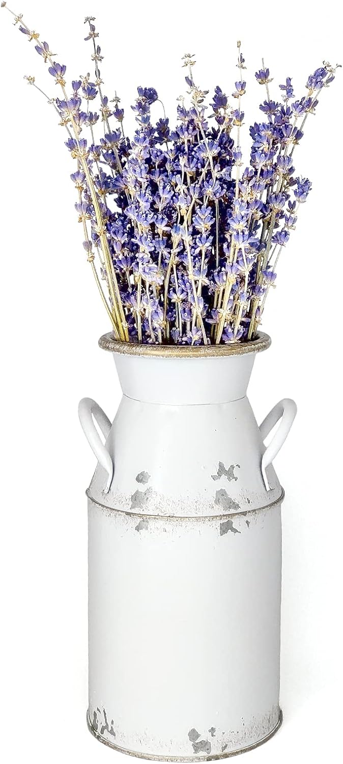 Galvanized Milk Can Antique Retro Vase Metal Planter Rustic Vintage Primitive Flower Holder Farmhouse Country Plant for Home Office Decor, 7.6” - Image 5