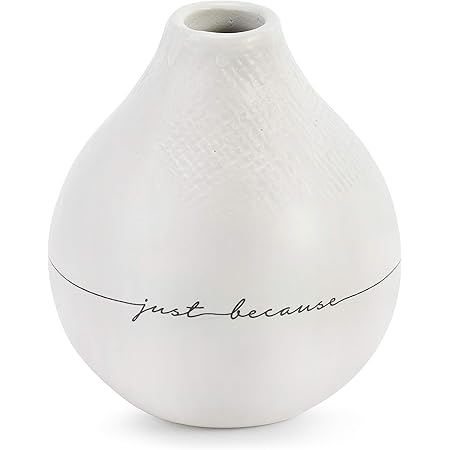 Amazon Com Demdaco 霧面白色陶瓷陶器只是因為小花瓶 居家與廚房