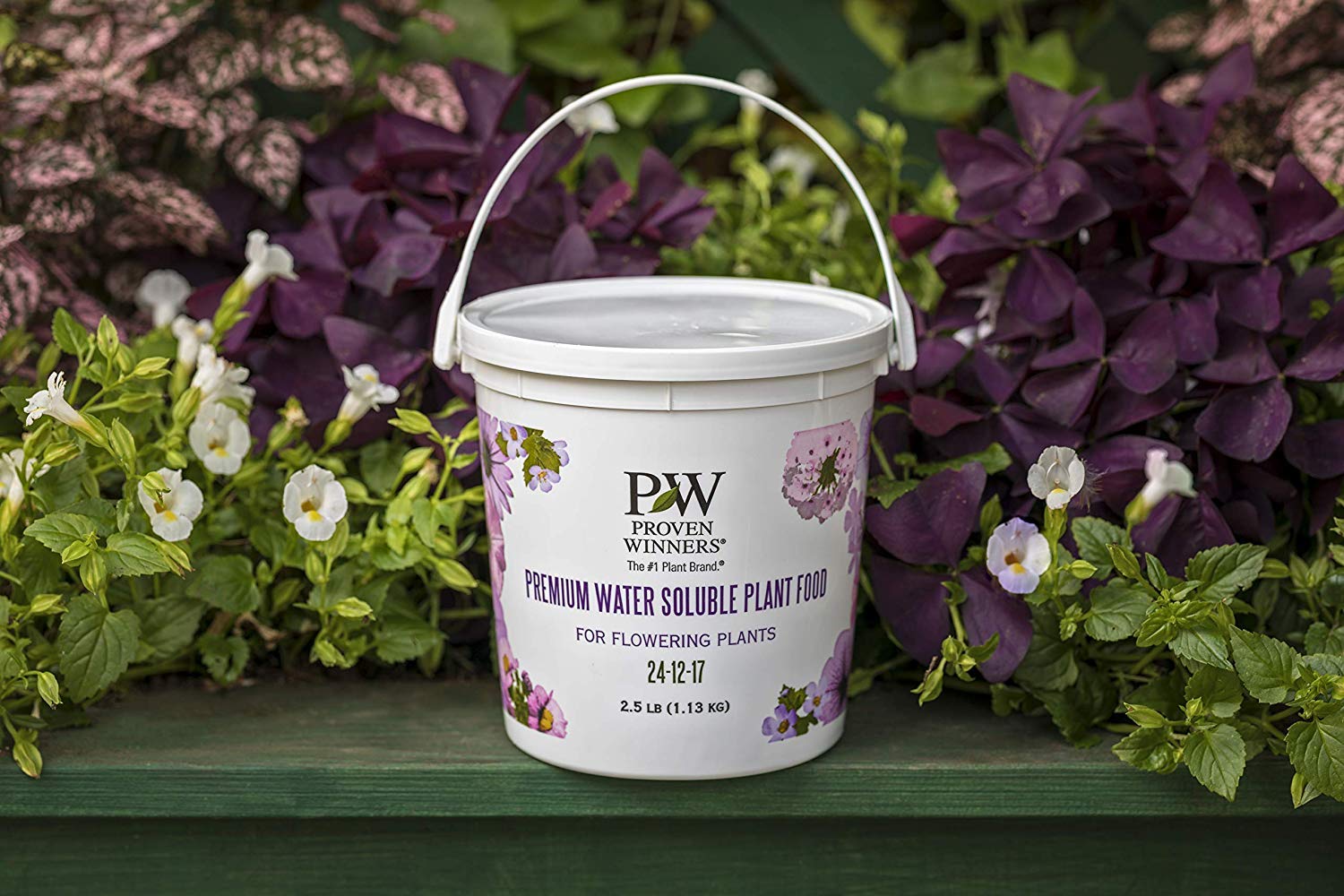 33 Best Fertilizers For Petunia Baskets Which Do You Get In 2022