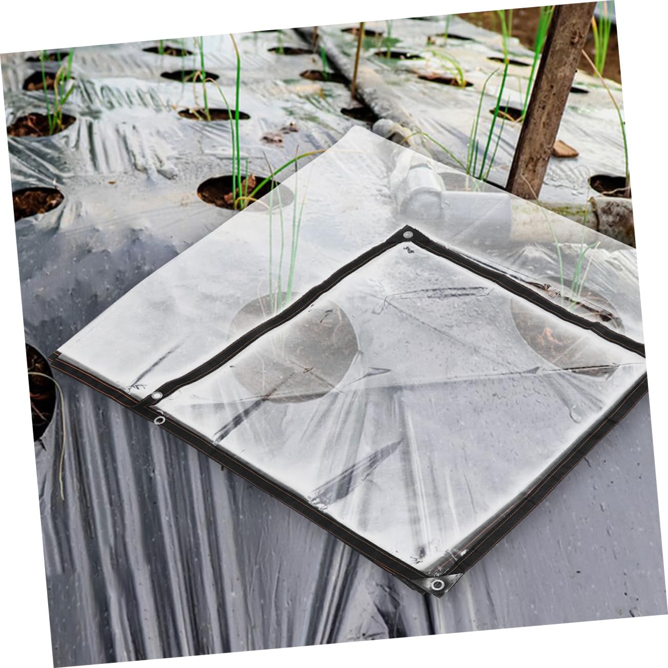BESPORTBLE Cubiertas para Invernaderos Películas para Jardín Resistente Al Agua Antienvejecimiento Protección Climática