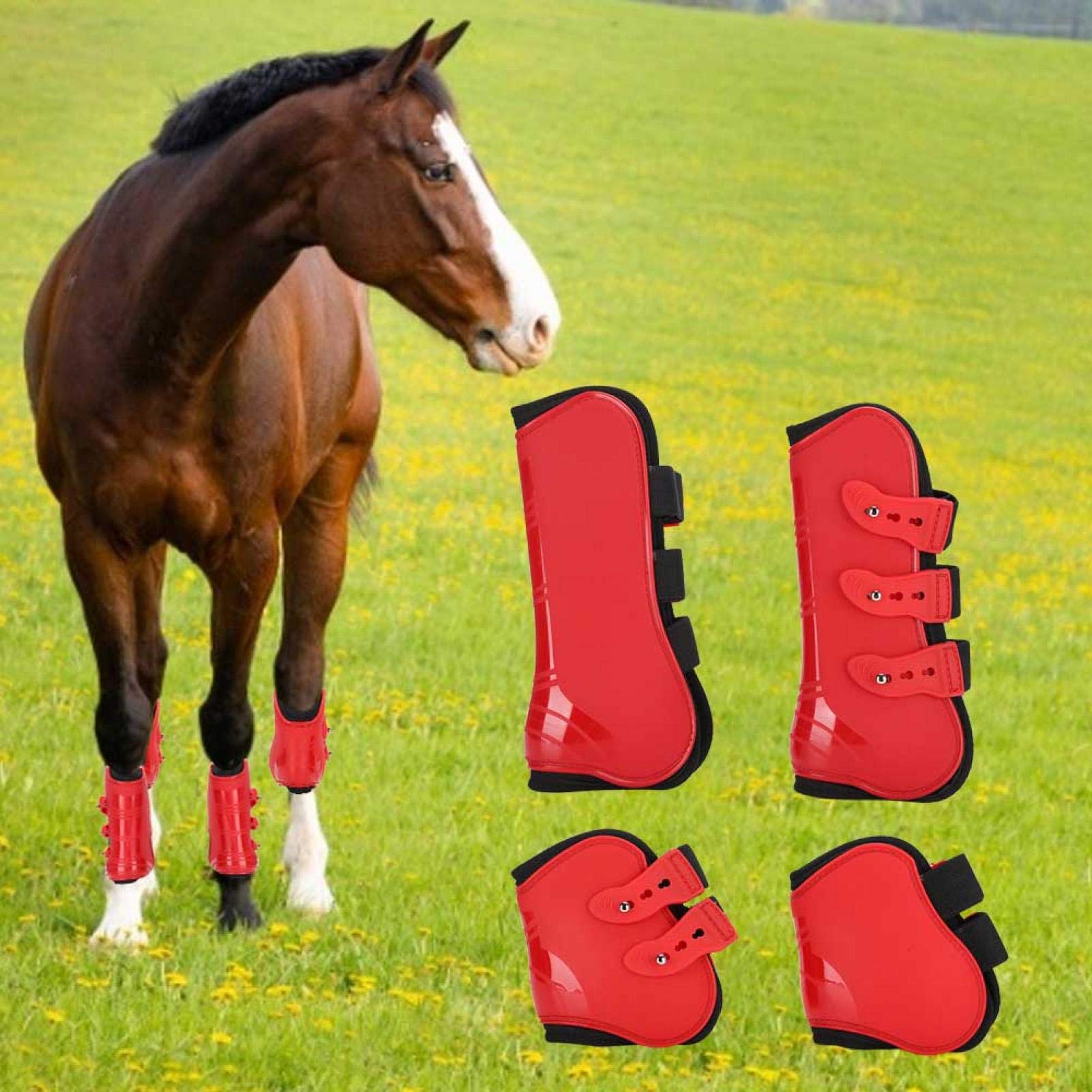 Desconocido Protector de Patas de Caballo, un Juego de Botas de Patas Delanteras y traseras Protector de Patas Ajustable Equipo de equitación (L)