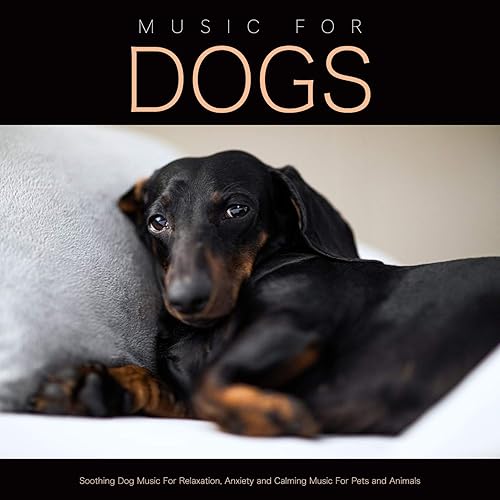 relaxing music for dogs anxiety