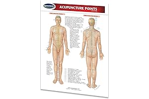 Acupuncture Points Guide by Permacharts | Acupuncture Poster for Students & Practitioners