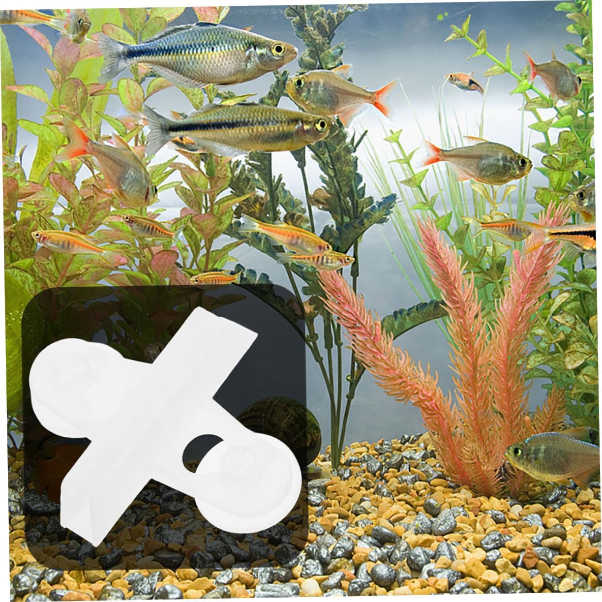 Garneck 25pcs Fish Tank Divider Clips Sturdy Plastic Cup Holders for Easy Installation and Secure Separation Aquariums for Breeding and Securing Aquatic Plants