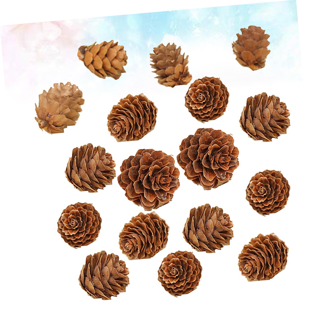 210 Unidades Mini Piñas de Pino Naturales Decoración Rústica para Hogar Navidad Acción de Gracias Manualidades Ornamento Vegetal