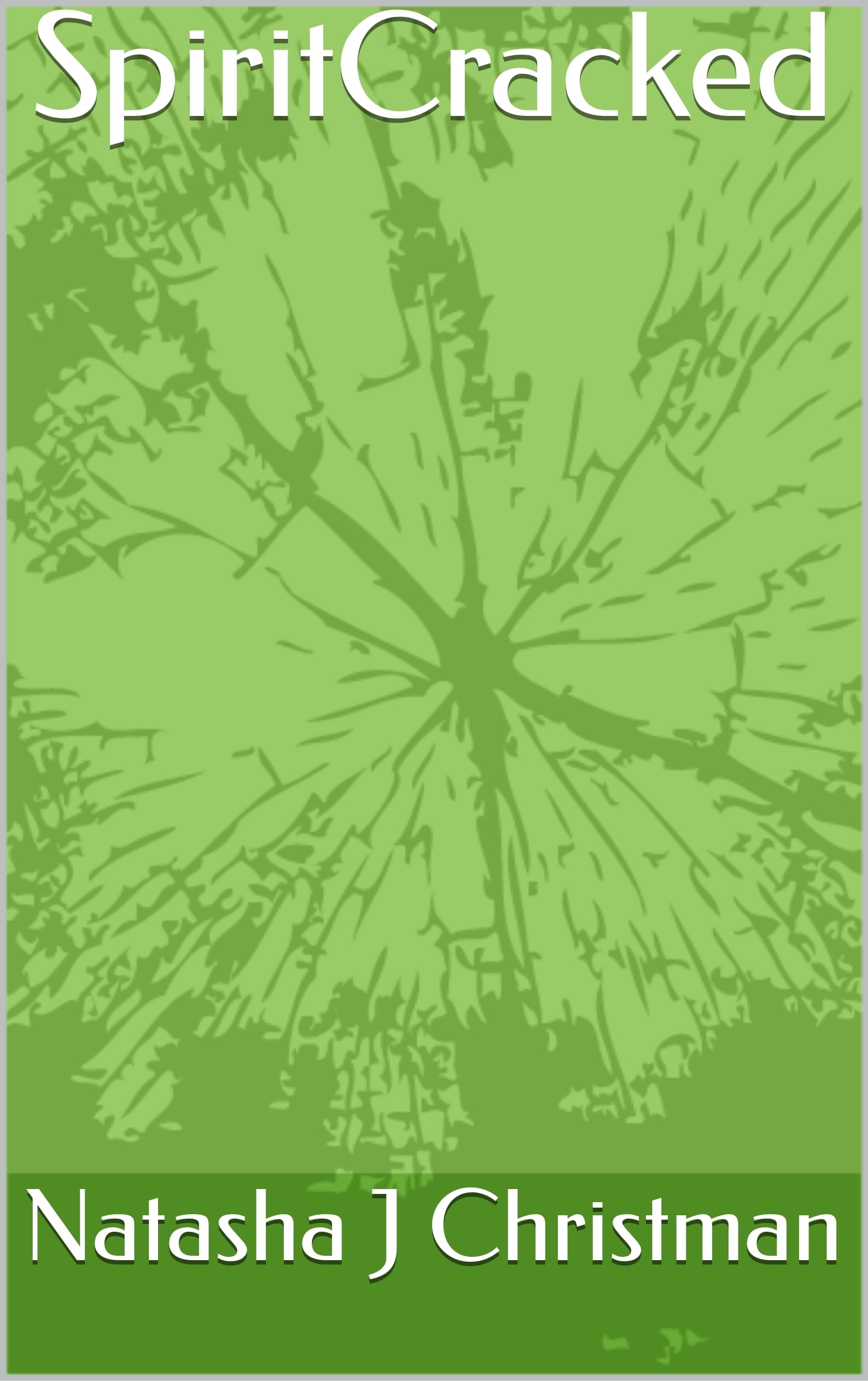 SpiritCracked version originale anglaise récit psychologique profond