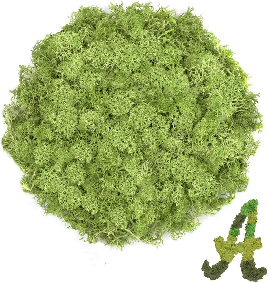 Preserved Reindeer Moss, 3.5 oz Chartreuse Decorative Craft Moss for Potted Plants, Fairy Gardens, DIY Wall Art, Floral Arrangements, Christmas Easter Wedding Holiday Decor