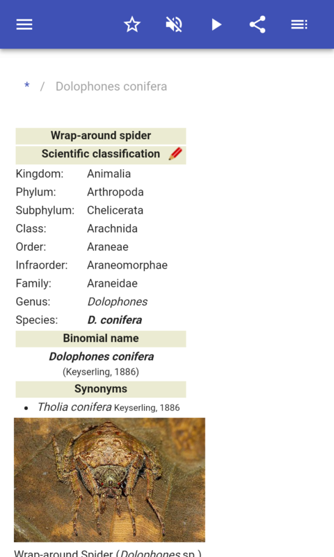 Helper Spider Spiders - App on Amazon Appstore