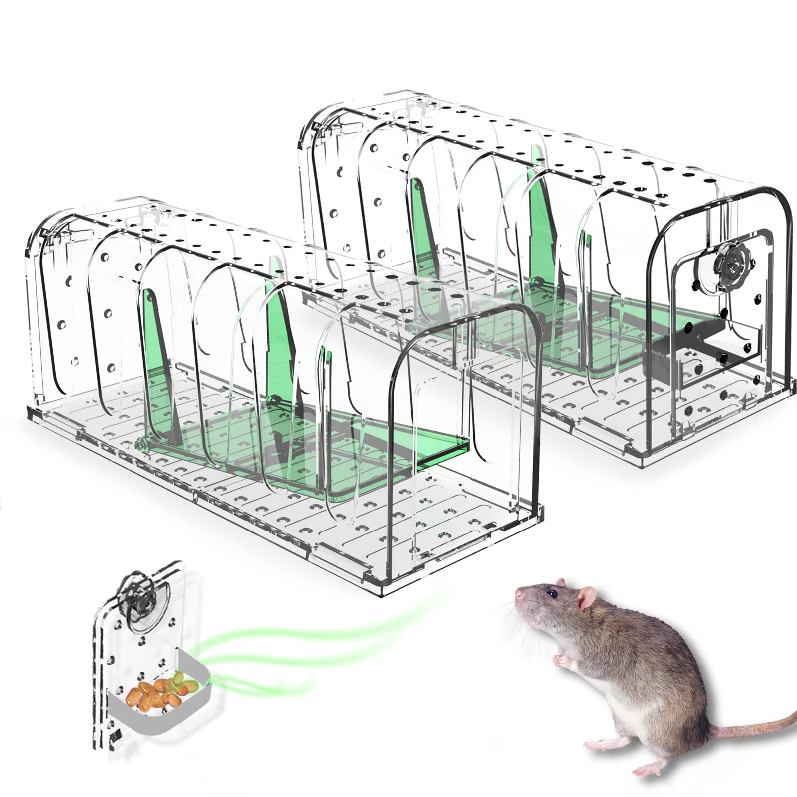 Buy Careland Mouse Traps Indoor Rat Traps Outdoor Humane Catch and